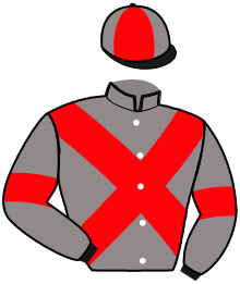 Casaque du n°10