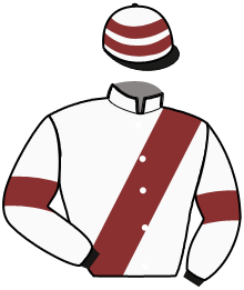 Casaque du n°11