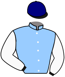 Casaque du n°11