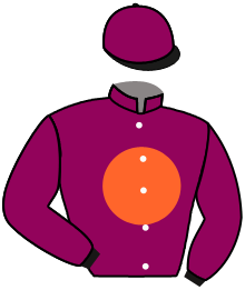 Casaque du n°13