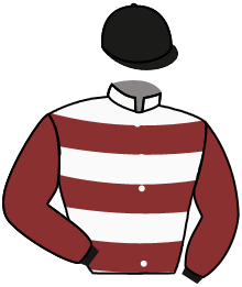 Casaque du n°6