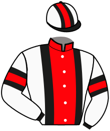 Casaque du n°13