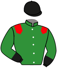 Casaque du n°14