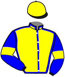 Casaque du n°2