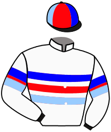 Casaque du n°4
