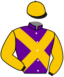 Casaque du n°6