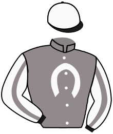 Casaque du n°7