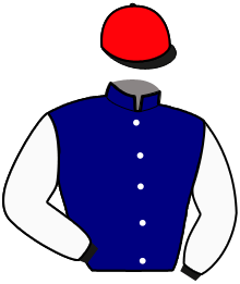 Casaque du n°5