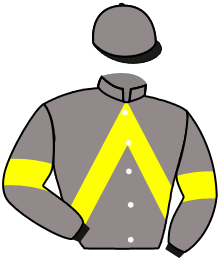 Casaque du n°6