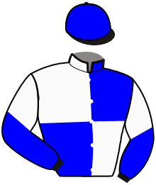 Casaque du n°7