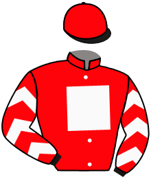 Casaque du n°7