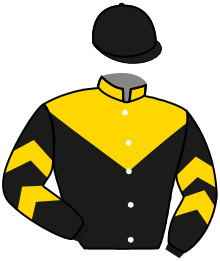 Casaque du n°2