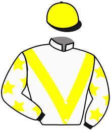 Casaque du n°3