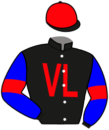 Casaque du n°6