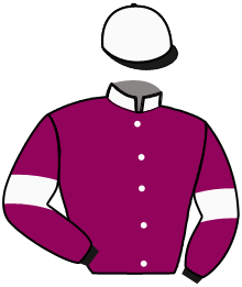 Casaque du n°11