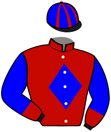 Casaque du n°10