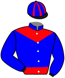 Casaque du n°11