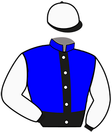 Casaque du n°3