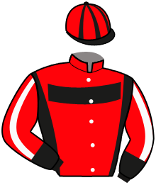Casaque du n°9