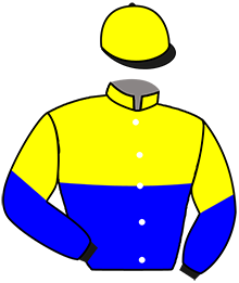 Casaque du n°3