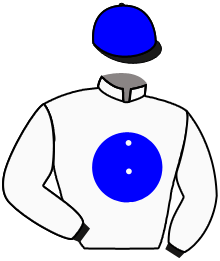 Casaque du n°1