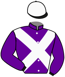 Casaque du n°10