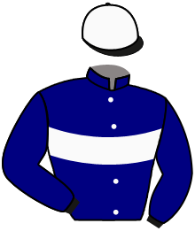 Casaque du n°11