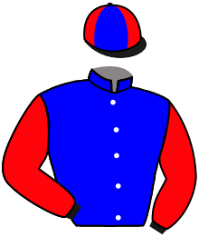 Casaque du n°12