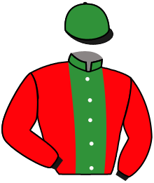 Casaque du n°13