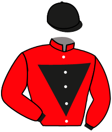 Casaque du n°16