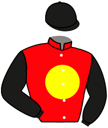 Casaque du n°3