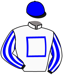 Casaque du n°6