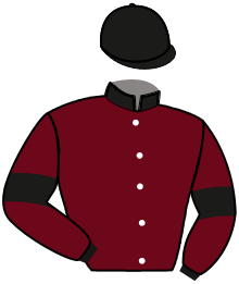 Casaque du n°11