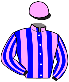 Casaque du n°13