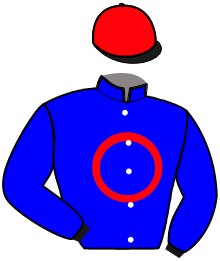 Casaque du n°3
