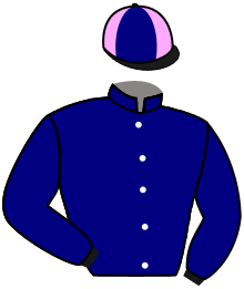 Casaque du n°6