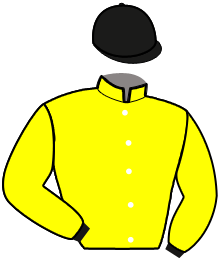 Casaque du n°11