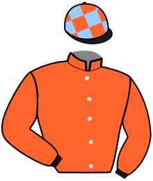 Casaque du n°13