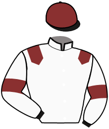 Casaque du n°7