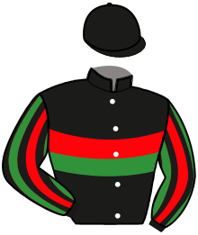 Casaque du n°10