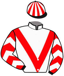 Casaque du n°11