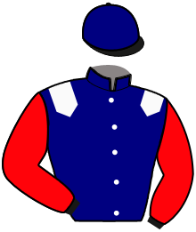 Casaque du n°5