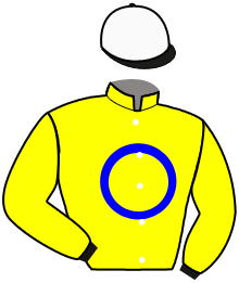 Casaque du n°8