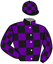 Casaque du n°8