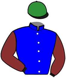 Casaque du n°8