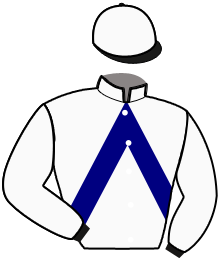 Casaque du n°13