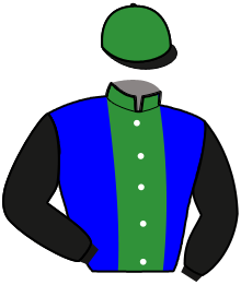 Casaque du n°11