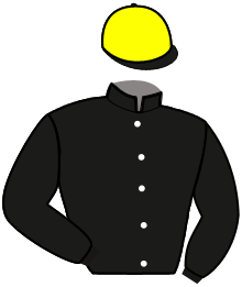Casaque du n°13