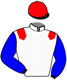 Casaque du n°4