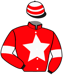 Casaque du n°9